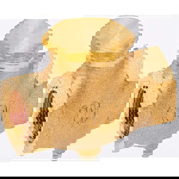 Check Valve: 1/2 x 1/2